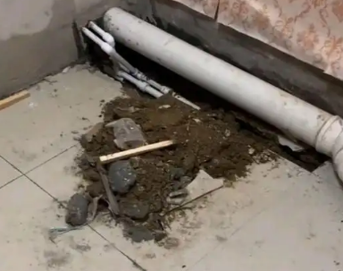 赤坎卫生间漏水检测哪家好